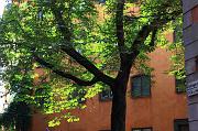 30-Stoccolma,21 agosto 2011